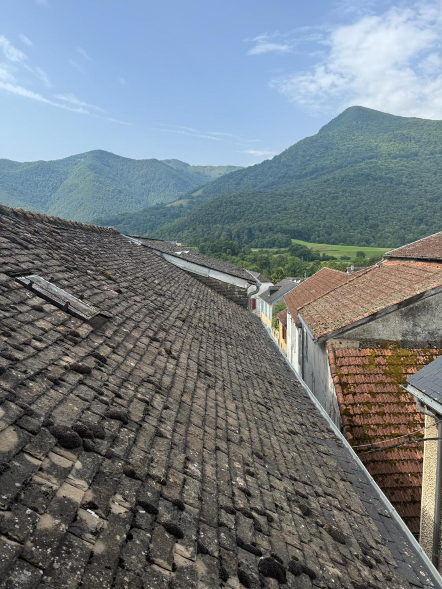 Les Maisons Des Pyrenees - Lourdes Saint-Pé-de-Bigorre Buitenkant foto